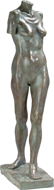 Twisted Torso
